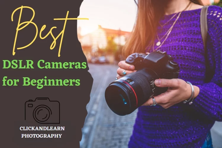 Top 7 Best DSLR Camera for Beginners: Reviews 2022