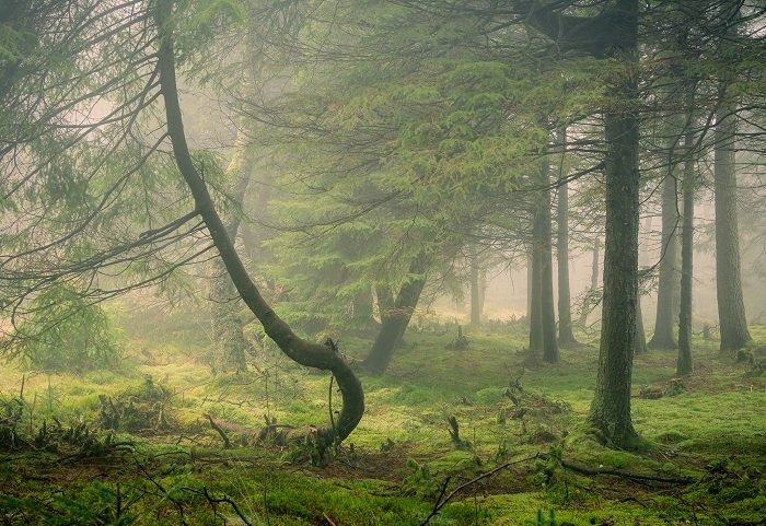 Photography In Bad And Rainy Weather