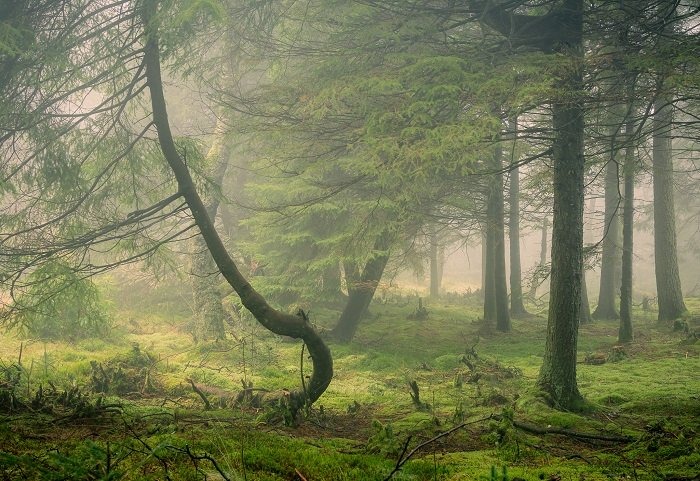 Photography In Bad And Rainy Weather