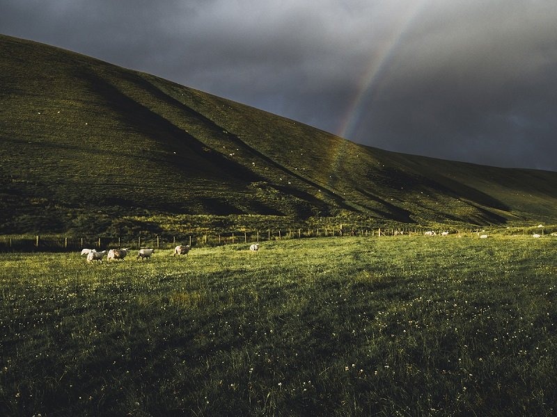 Behind The Lens - Matt Holland