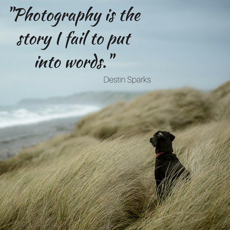 Photography Quotes To Inspire And Motivate