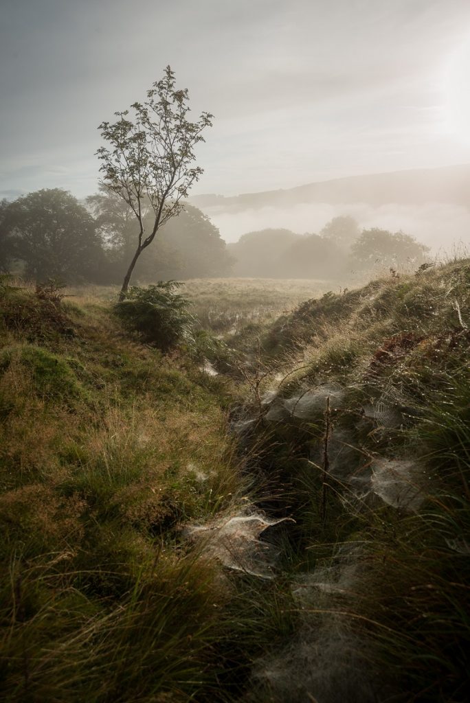 Ultimate Guide To Autumn Photography