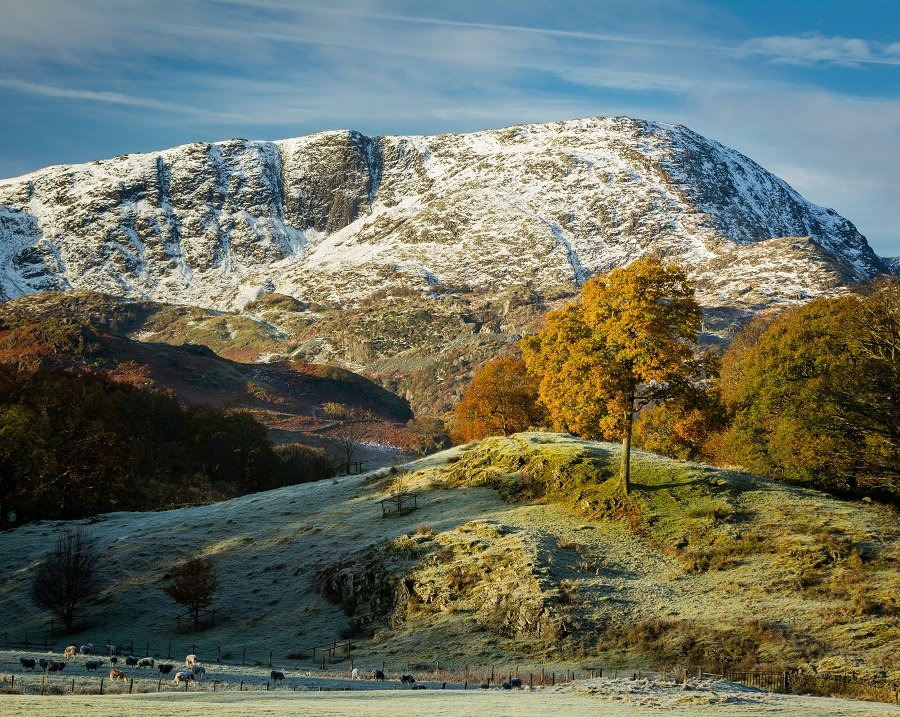 Ultimate Guide To Autumn Photography