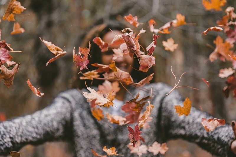 Ultimate Guide To Autumn Photography