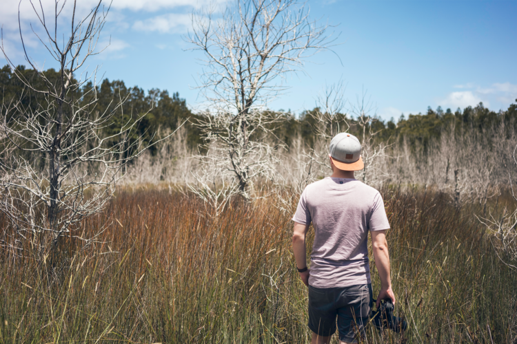 Landscape Photography Local Vs Travelling