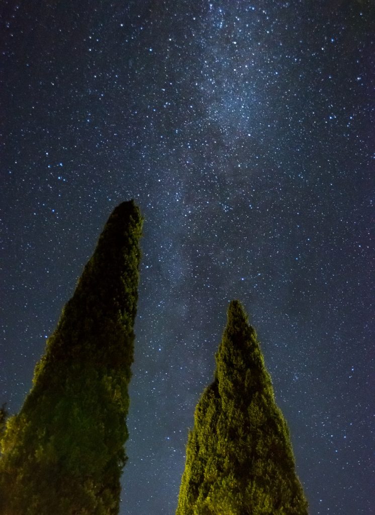 nikon d3500 night