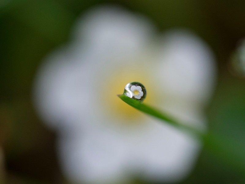 Photography In The Rain