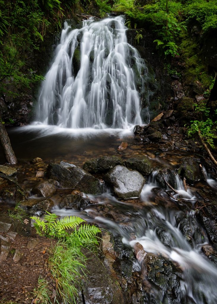 Composition still rules the roost in waterfall photography. Using the tiny fern as a foreground subject and the flowing river as a leading line made this composition much more interesting.