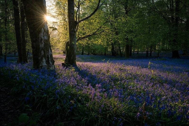 Ultimate Guide To Landscape Photography Shooting On Location