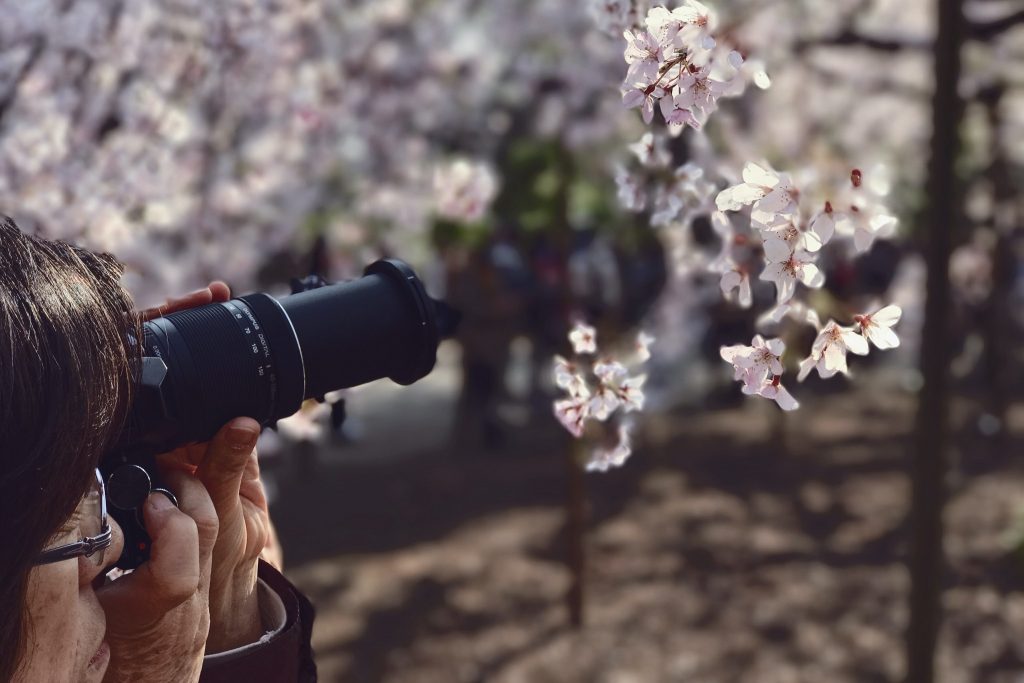 Best Macro Lens For Nikon And Canon