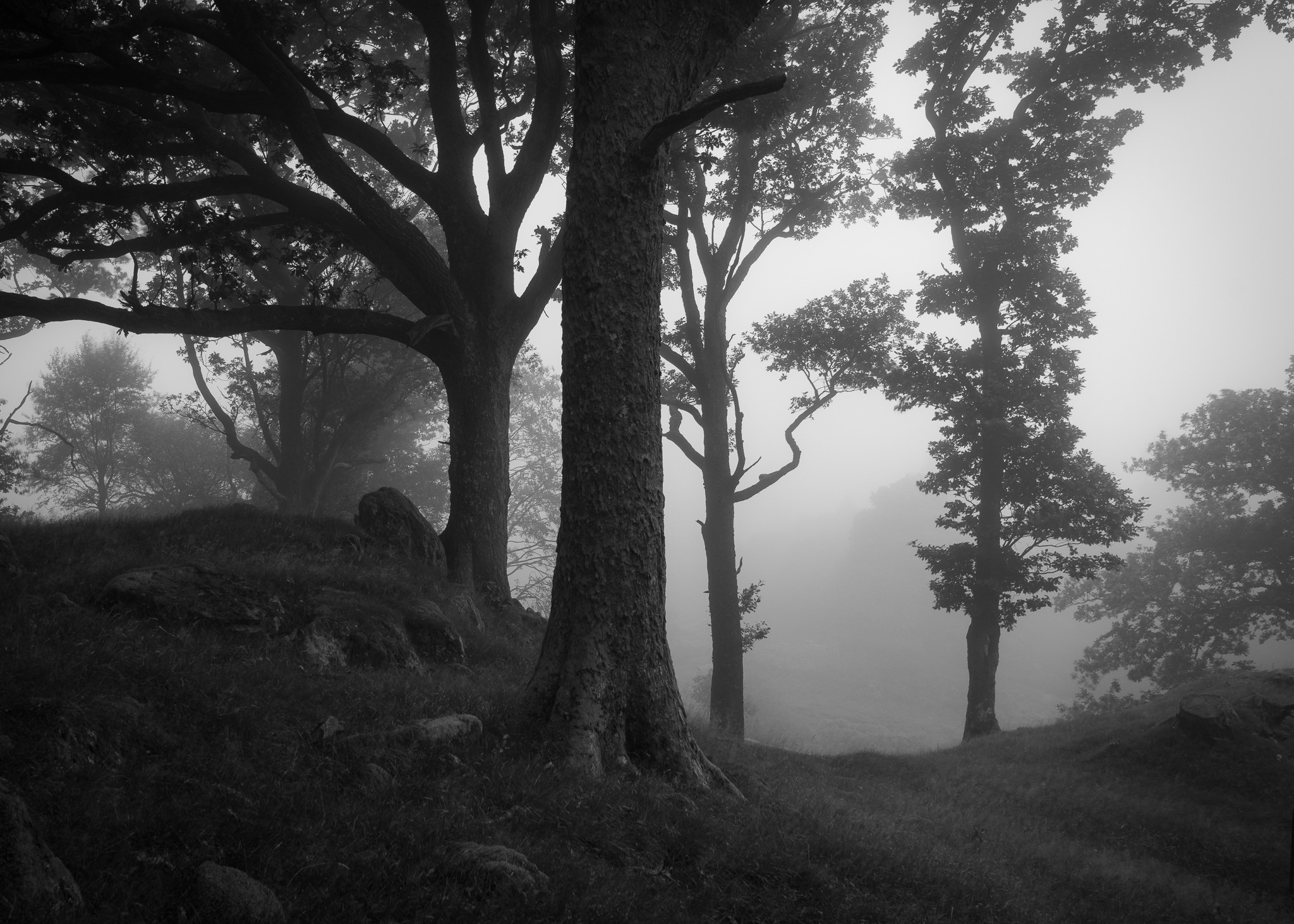 Why use black and white for landscape photography?