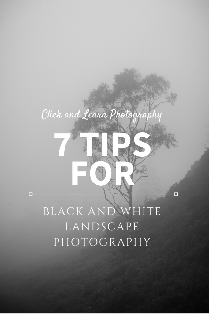 Black And White Landscape Photography
