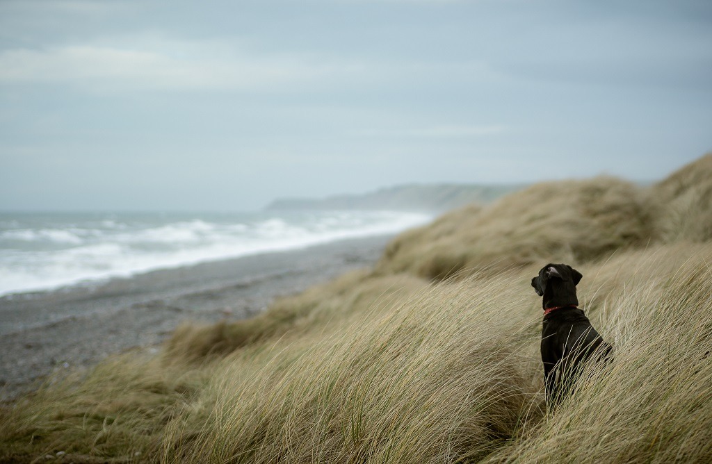 Beach Photography